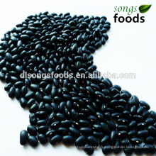 Différents types de haricots secs, haricot noir
